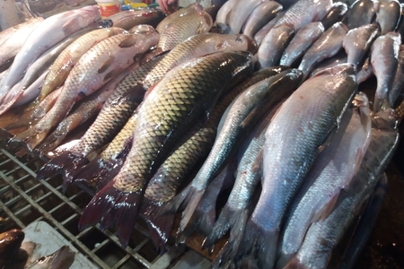 1758546730108085119468d14b2a18e47