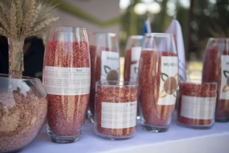 176164821512730961069009e579fef5