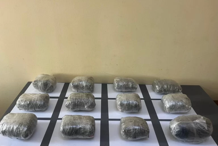 176165081642948616900a880671e6