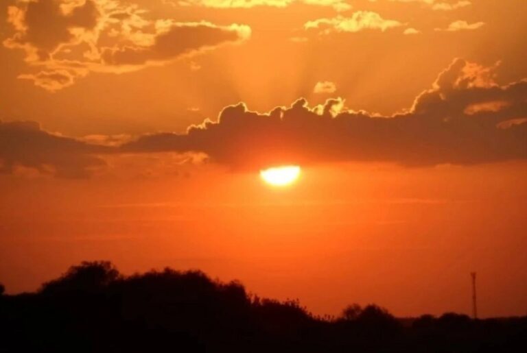 292b5b63-edaf-4cf2-8ee1-62c187ac4e8d