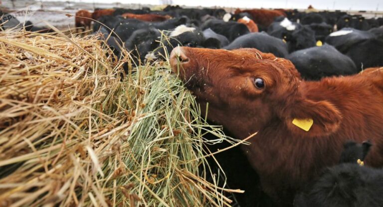 72aa544bb733744cd039bc23b4857a86