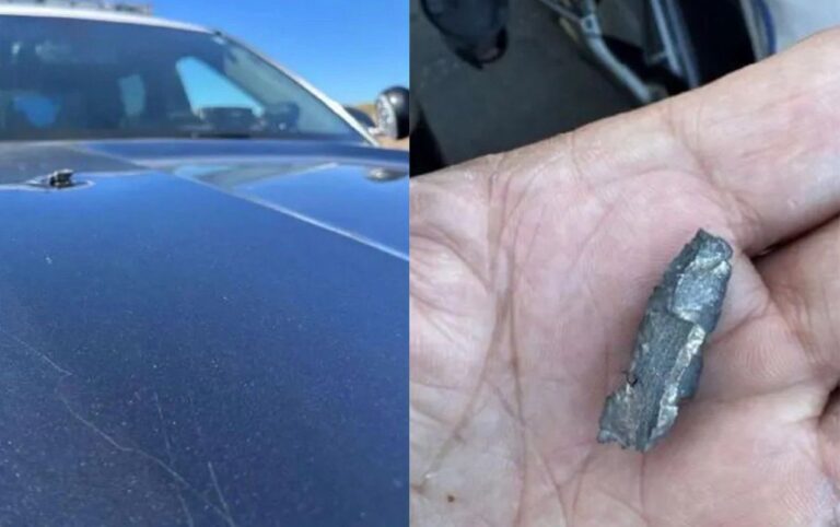 7d454bda-802b-43db-8db4-510792dca048