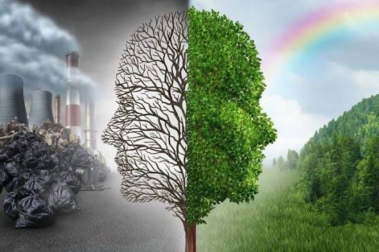 b562f8d2-638c-4499-92f4-62a723ab8c0a