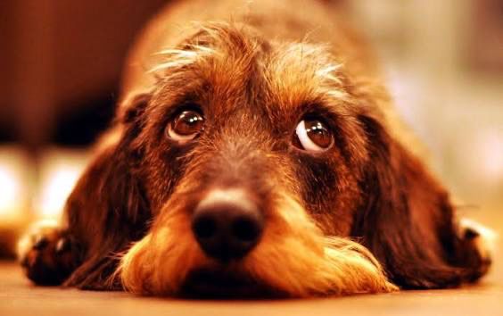 Изображение WhatsApp 2025-10-01 в 21.56.49_7ce04f3a