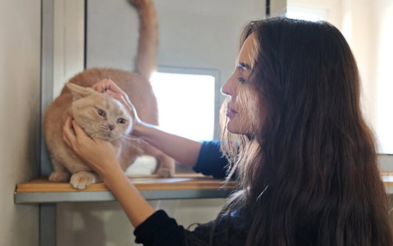 1764007203156452200869249d236b002