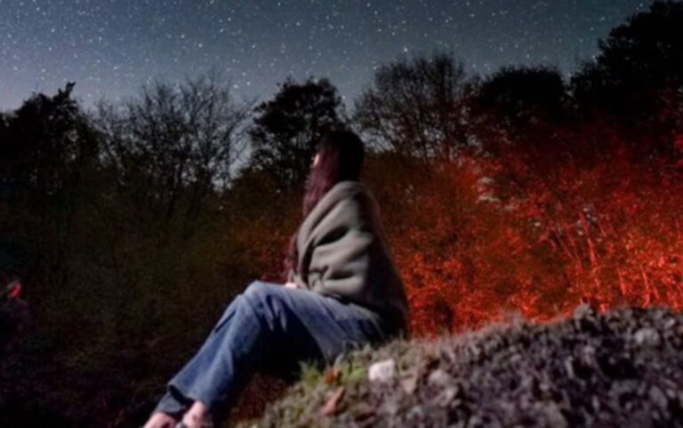 412ad19c-0891-49e8-b2b8-f9cfdf4e4fbb