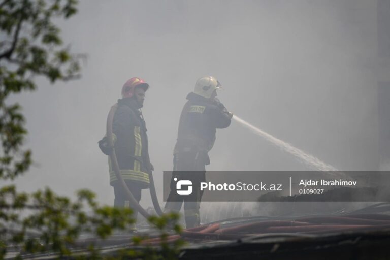 884ecb1b-c599-4b9a-b3bf-2faeeb722eb9