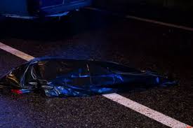 download_20251128_163304