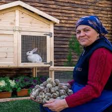 download_20251130_121102