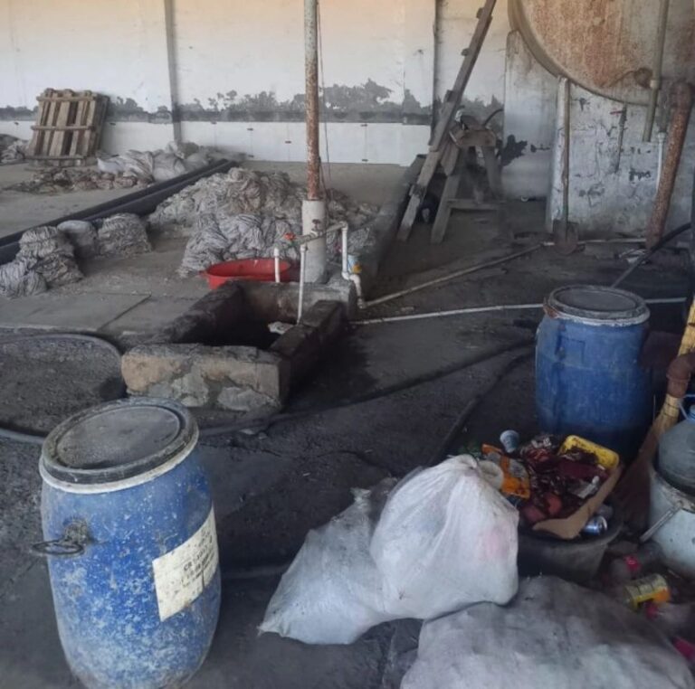 Изображение WhatsApp 2025-11-04 в 16.02.28_62018584