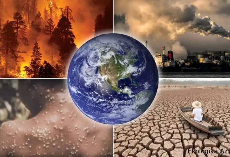 Изображение WhatsApp 2025-11-08 в 19.30.43_e04e6f17