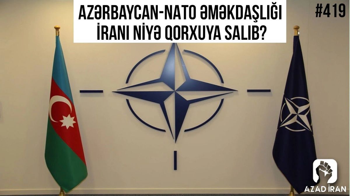 Изображение WhatsApp 2025-11-14 в 19.55.47_c97da5f3