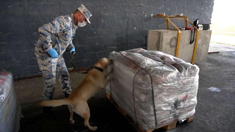 Изображение WhatsApp 2025-11-15 в 13.34.15_2655369d