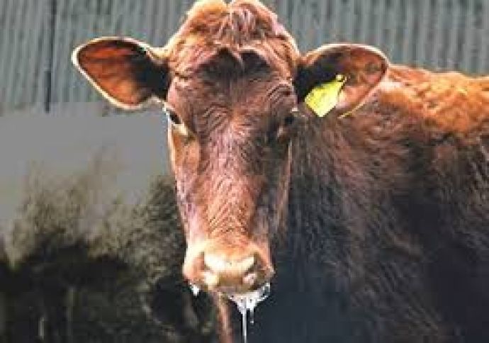 Изображение WhatsApp 2025-11-18 в 12.46.58_39ed0f1e