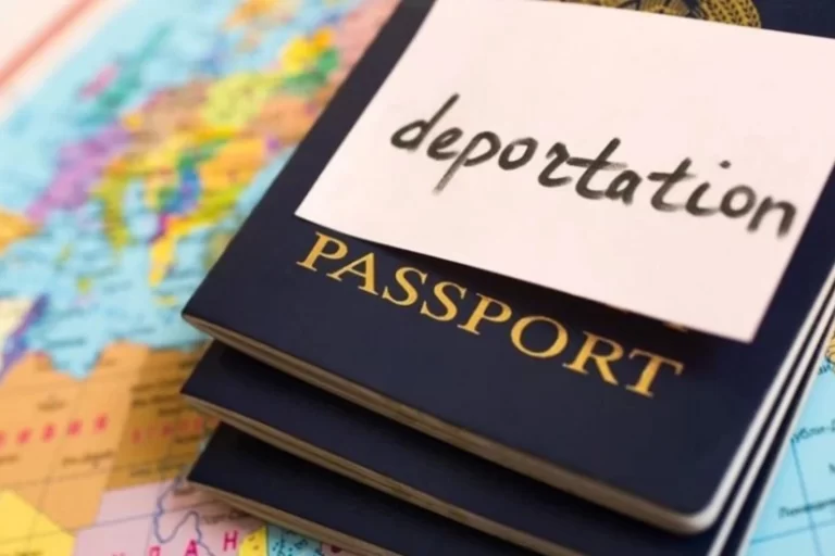 313700c8-5e62-3a8a-94e5-30e657ef46a2_825 (1)