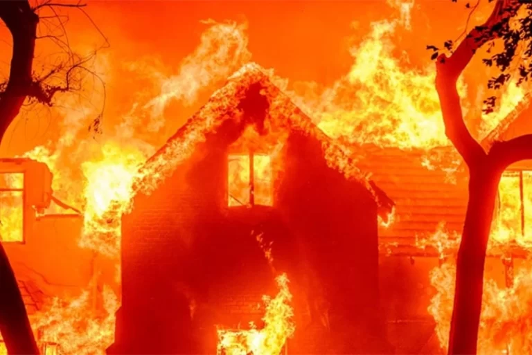 42eccc5c-6c92-3042-89bb-6cdf4cdf5bce_825