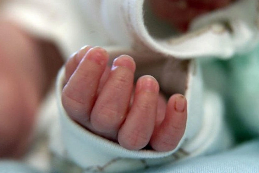 85bf6347-afdb-4e53-9401-2e162314458c_825