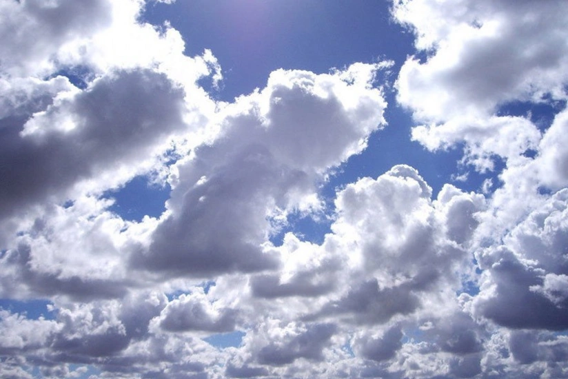 9dc3882d-4f37-4ede-8c70-0615189a6de5_825