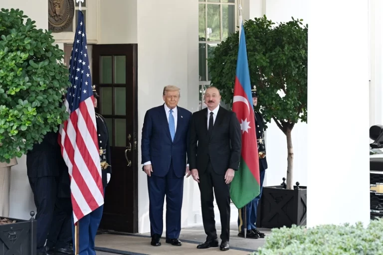 FFIFyOJ25ZM7o1CpM0b0EOUQPHf4LXeMvhwKjdy4_825 (1)