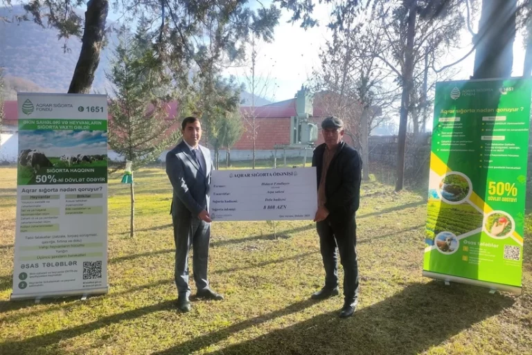 FjDMtlF5YFmnTNN8HT4vgJkRtLEY84qJiM3c676O_825