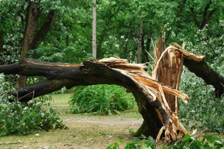 GiROAnb0GMStPUSMwPgDkf8S9Kalh2vj0AWbOFuv_825