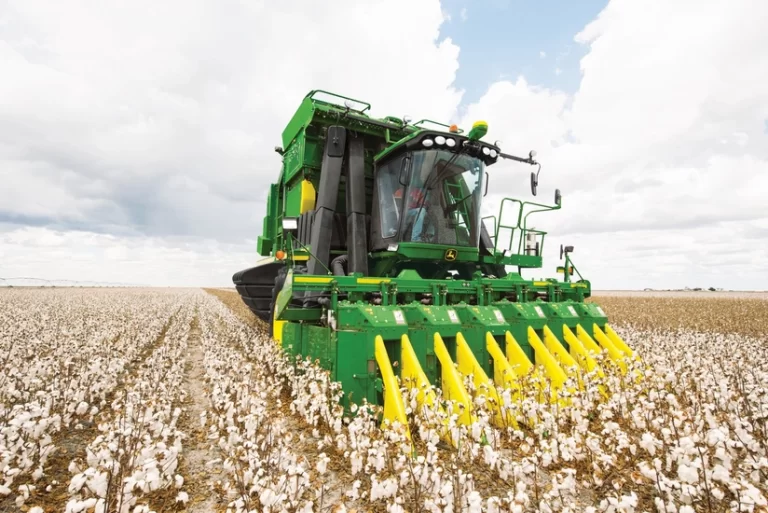 ad4ca1a5-910f-3743-906f-630654ae29d1_825 (1)