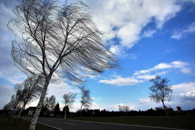 c308440a-1f65-3fec-a161-45d0f695b8ad_825