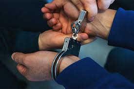 download_20251204_174203