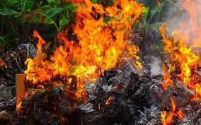 download_20251204_174442