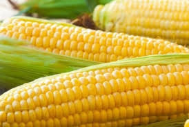 download_20251204_180932