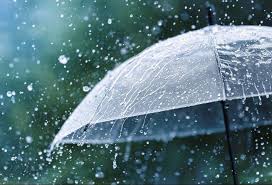 download_20251204_181309