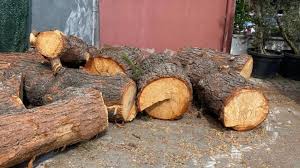 download_20251205_192121