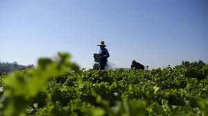 download_20251208_234324