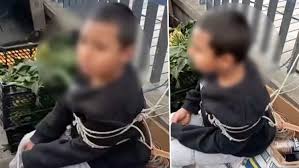 download_20251212_142653