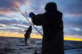 download_20251219_151543