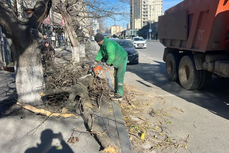 tSVTF71tr2ZiOFqG7IXdK2LdEYRERazVdOLdvPy4_825