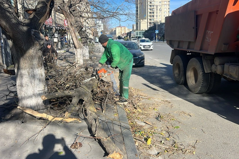 tSVTF71tr2ZiOFqG7IXdK2LdEYRERazVdOLdvPy4_825