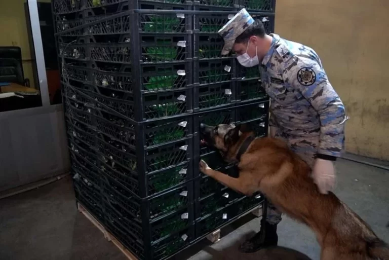 uEJ2ar62xeJlfAQQ7DcdKKOOltiAlvPd0IztKrO1_825