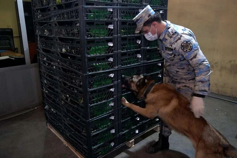 uEJ2ar62xeJlfAQQ7DcdKKOOltiAlvPd0IztKrO1_825