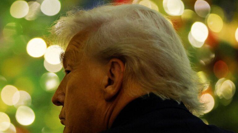 Изображение WhatsApp 2025-12-06 в 20.24.45_79496006