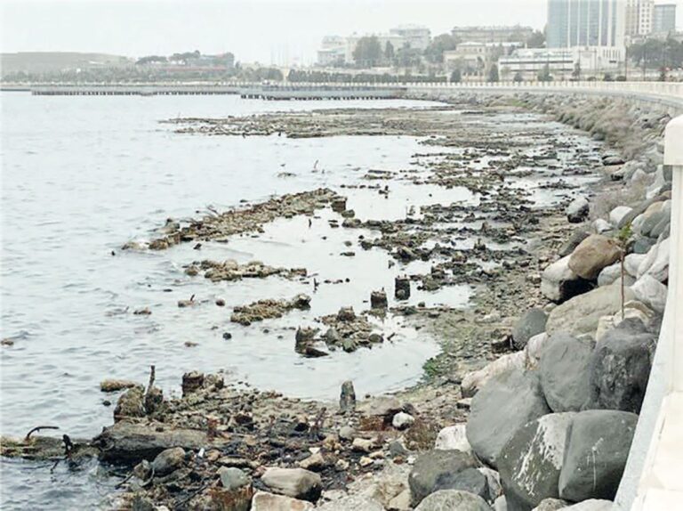 Изображение WhatsApp 2025-12-09 в 15.53.29_db7da493