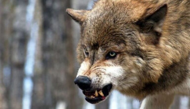 Изображение WhatsApp 2025-12-12 в 15.49.04_9048e8a0