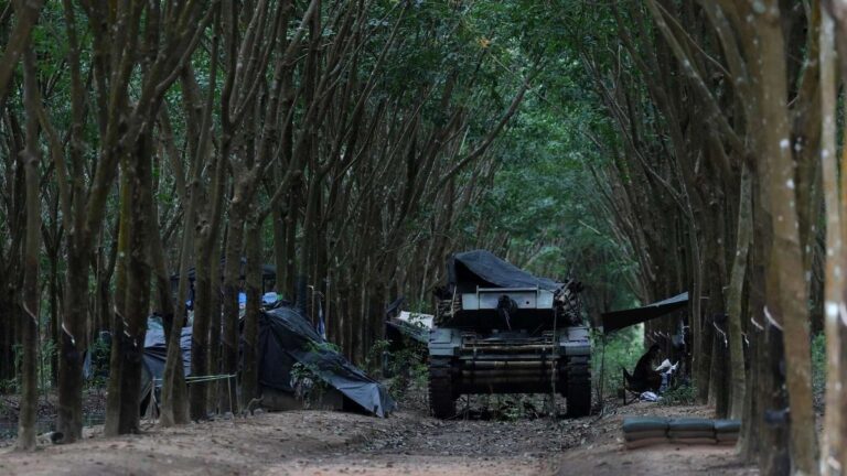 Изображение WhatsApp 2025-12-13 в 12.47.04_f06b049b