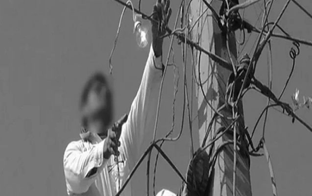 Изображение WhatsApp 2025-12-13 в 13.09.29_fe603479