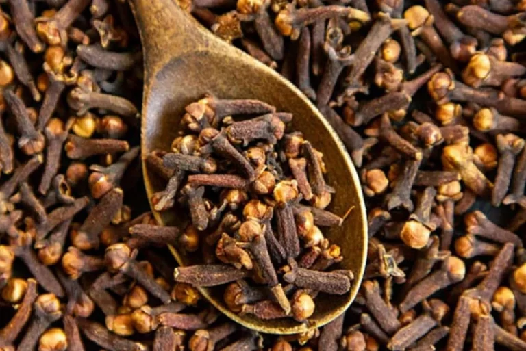 1768646364388295440696b66dc5fe1b