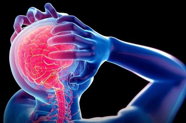 17698457441375877346697db3f079a83