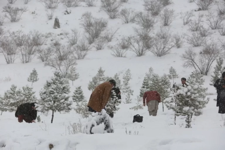 2S1Wtu1YwrvGviLzYeOkTVBxL7AW3Vu5B98gEhMv_825