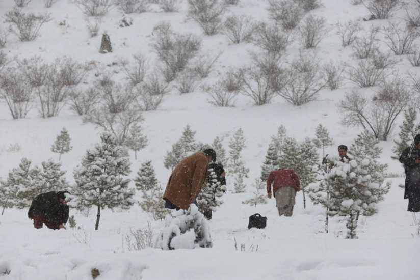 2S1Wtu1YwrvGviLzYeOkTVBxL7AW3Vu5B98gEhMv_825