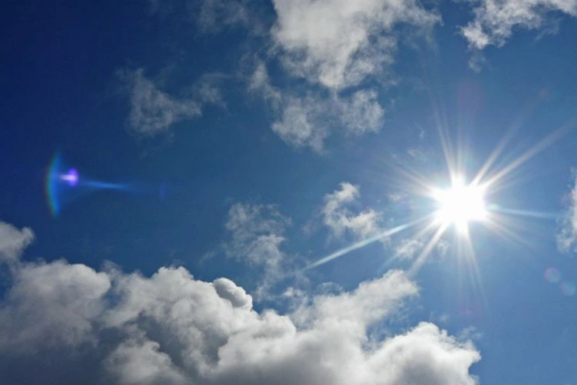 42262e55-9b5f-30d0-b278-60f2f133a1fc_825