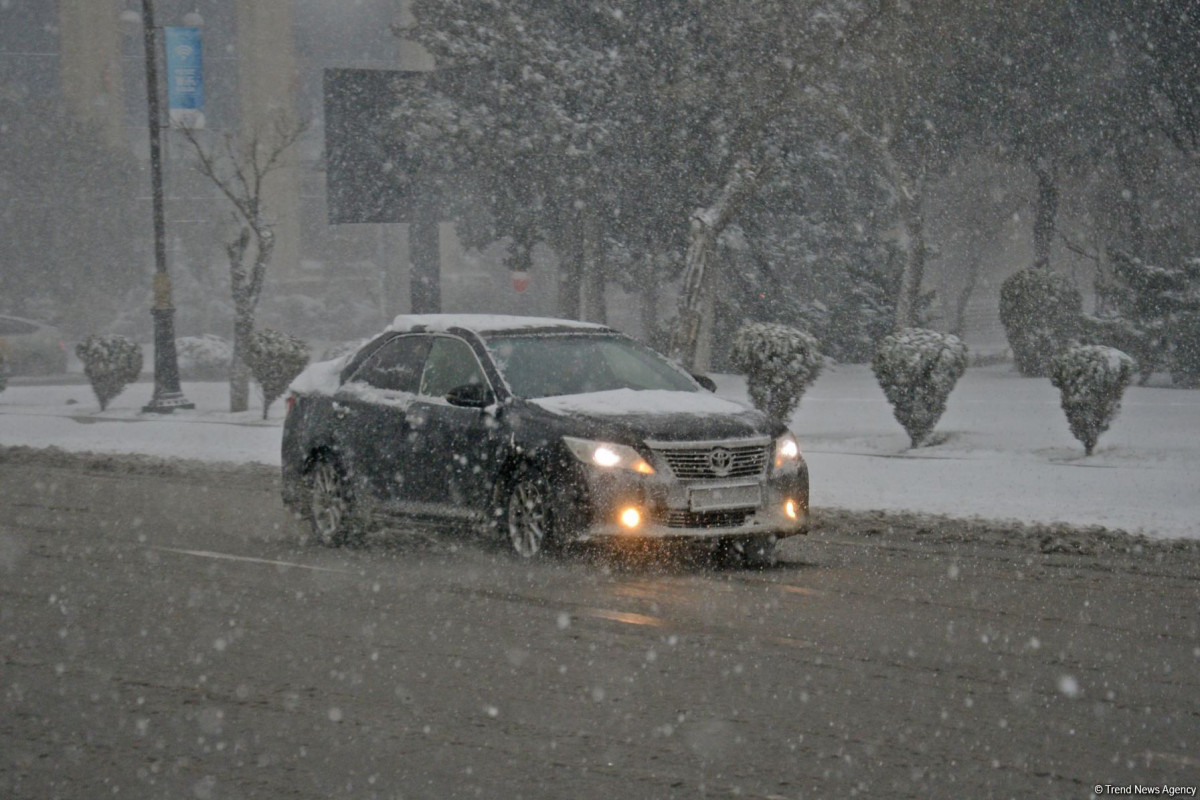 69710042b569969710042b569a176901331469710042b569769710042b5698